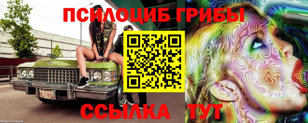 Псилоцибиновые грибы прущие грибы Соликамск
