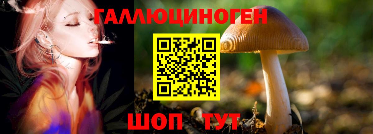 Псилоцибиновые грибы GOLDEN TEACHER  Вход с VPN  Соликамск  Псилоцибиновые грибы MAGIC MUSHROOMS 